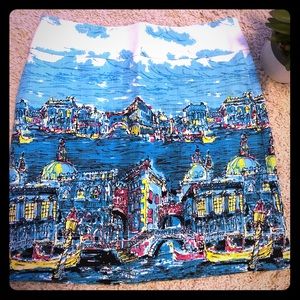 AMAZING Talbots Skirt